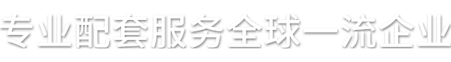 专业配套服务全球一流企业